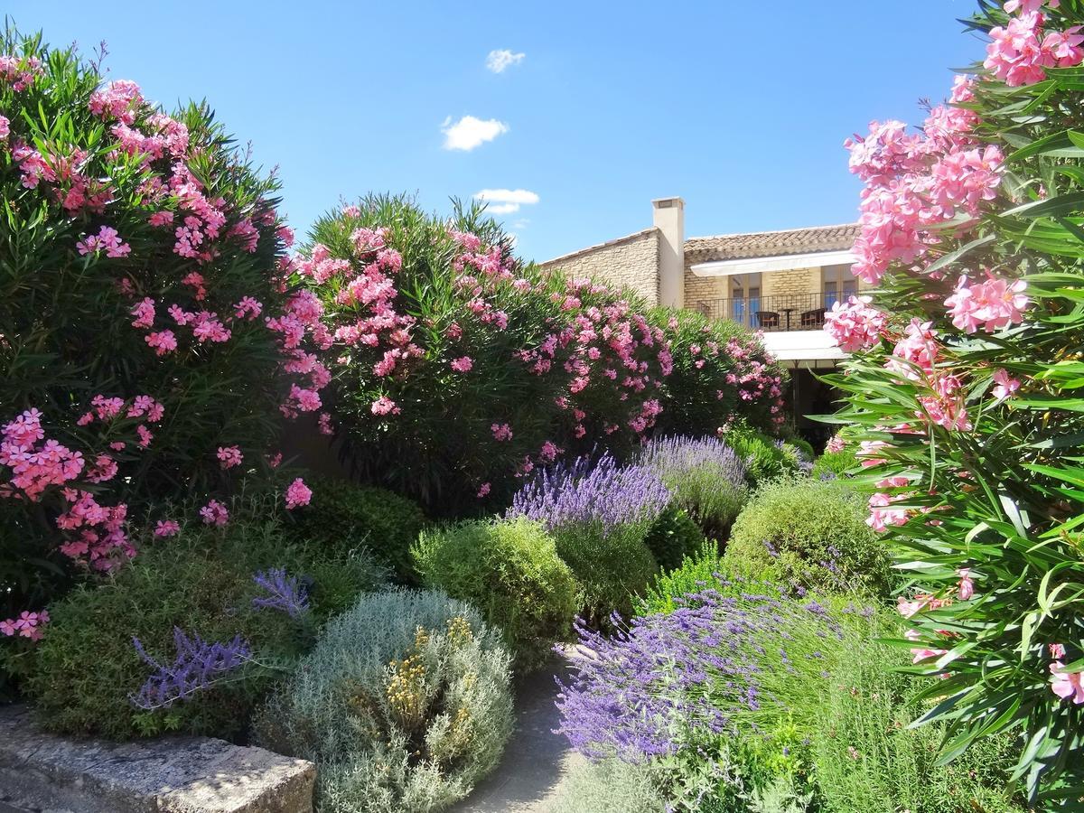 Le Jas De Gordes Hotel Bagian luar foto