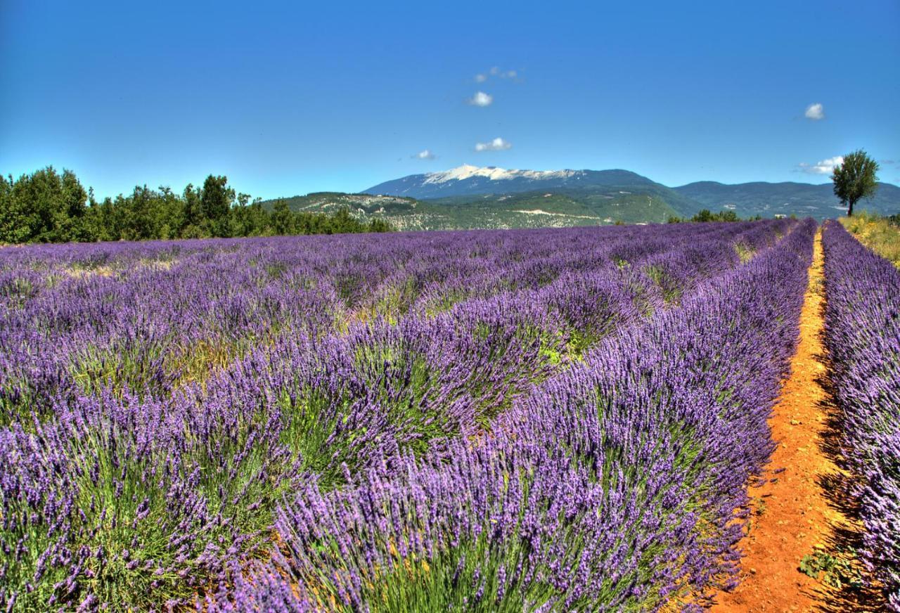 Le Jas De Gordes Hotel Bagian luar foto
